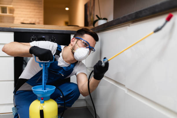 Trusted Angola, NY Pest Control Experts