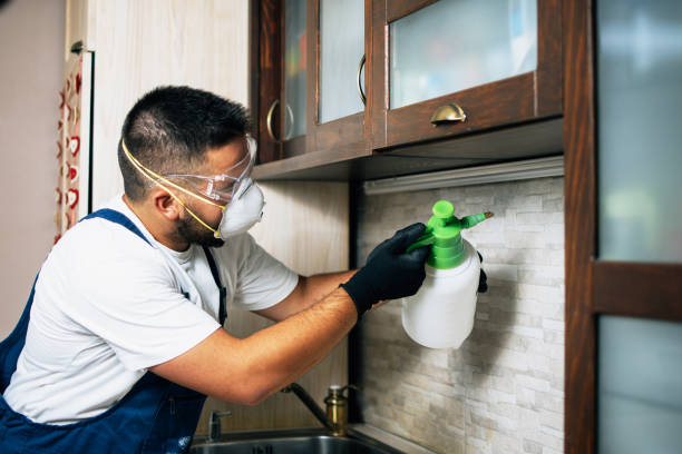 Pest Control for Restaurants in Angola, NY