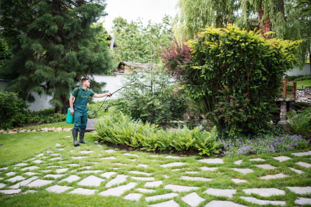 Best Pest Removal Services  in Angola, NY