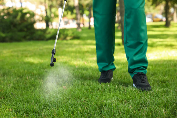 Best Wildlife Control Services  in Angola, NY