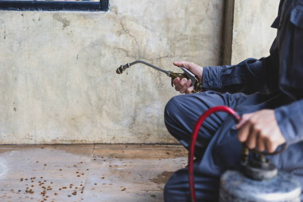 Best Affordable Pest Control Services  in Angola, NY